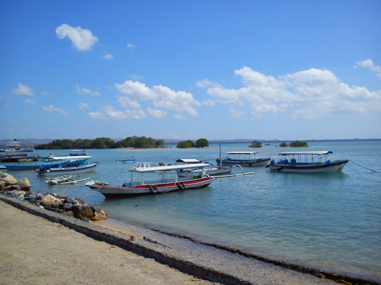 Bali Tolak Reklamasi: One Land, Two Points of View
