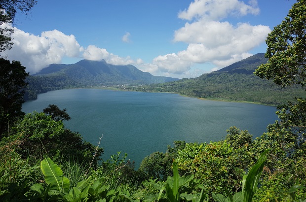 Bedugul