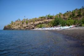 AMED