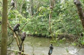 RAFTING ON THE AYUNG RIVER