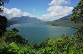Bedugul